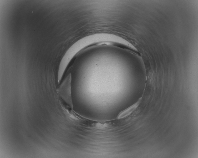 X0000070190570200606091535