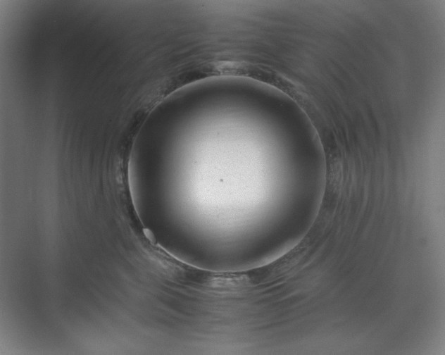 X0000070190571200606091535