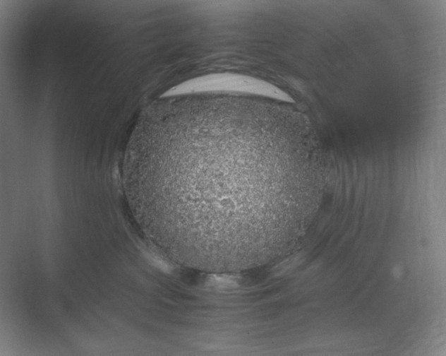 X0000070190573200606091536