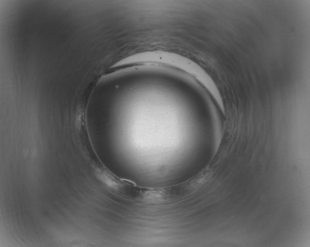 X0000070190574200606091536