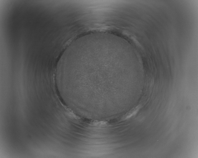 X0000070190576200606091536