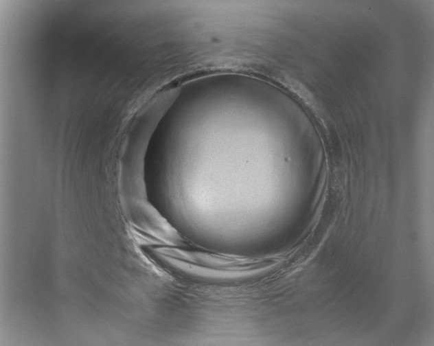 X0000070190577200606091535