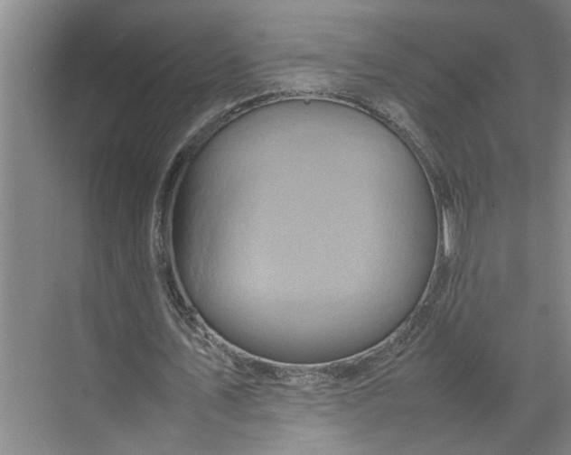 X0000070190579200606091535