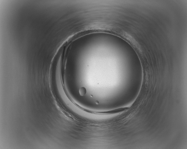 X0000070190580200606091535