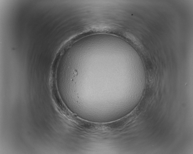 X0000070190583200606091535