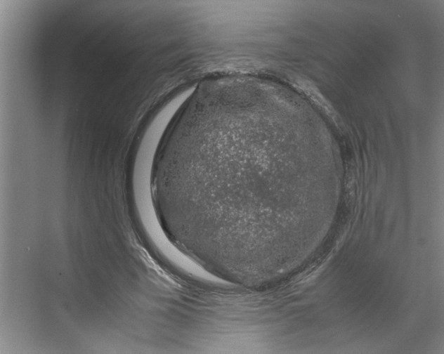 X0000070190585200606091535