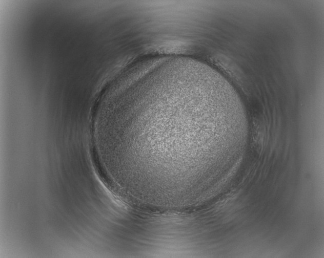 X0000070190586200606091535