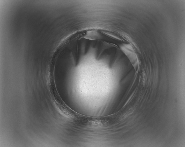 X0000070190588200606091535