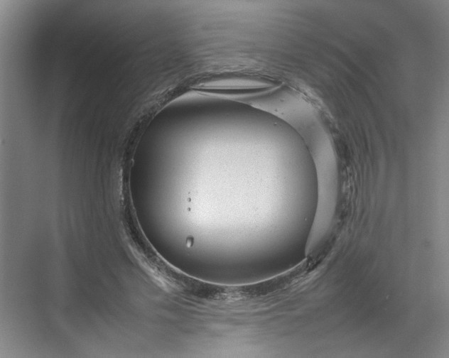 X0000070190589200606091535