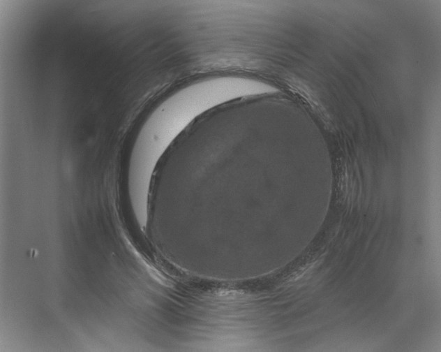 X0000070190590200606091535