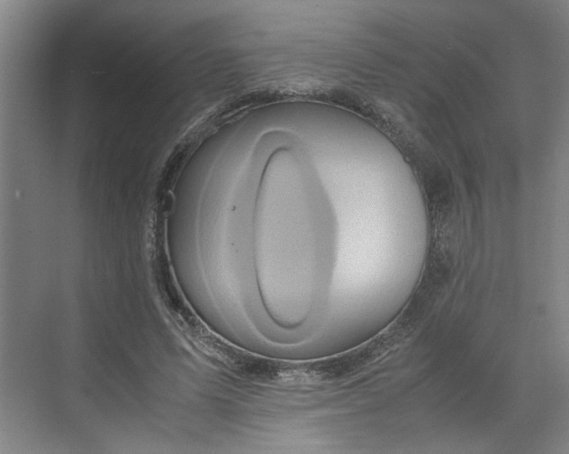 X0000070190591200606091535