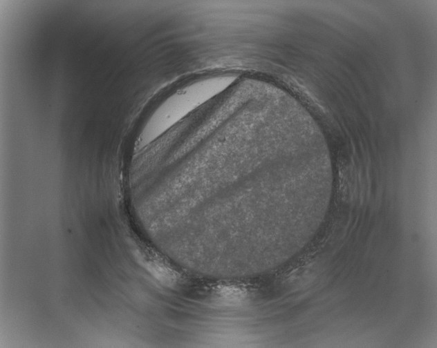 X0000070190592200606091535