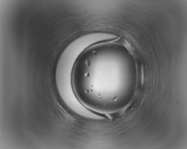 X0000070190593200606091534