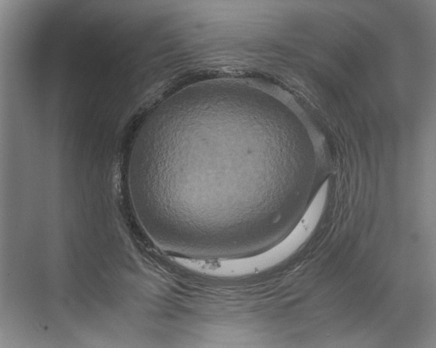 X0000070190595200606091534