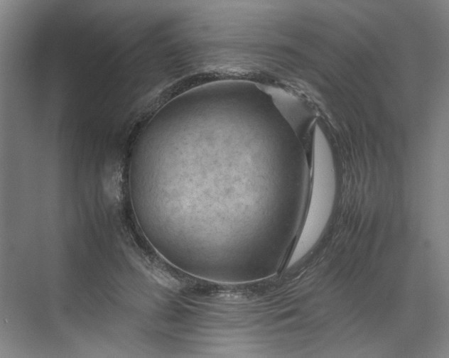 X0000070190596200606091534