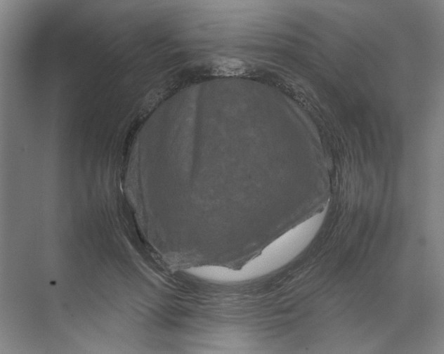 X0000070190598200606091534