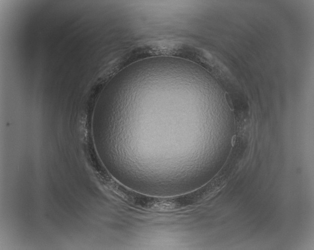 X0000070190599200606091534