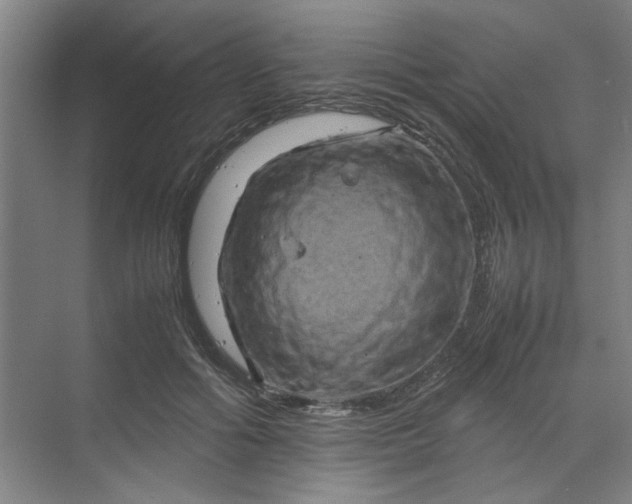 X0000070190602200606091534