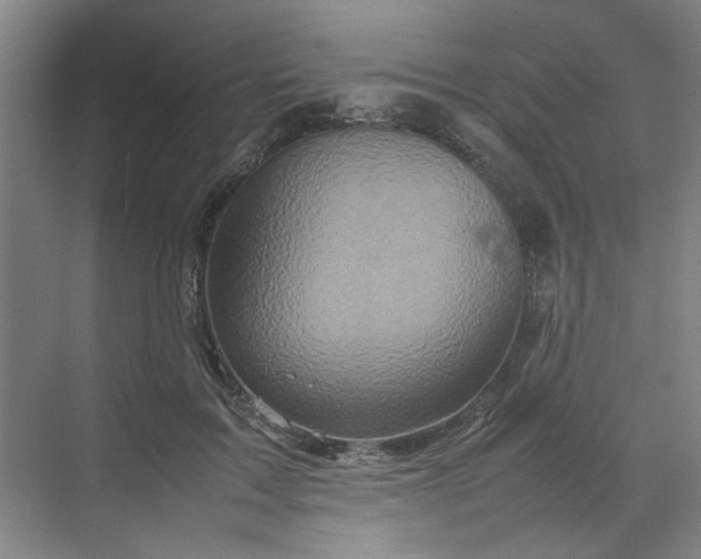 X0000070190603200606091534