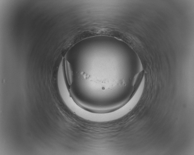 X0000070190607200606091534