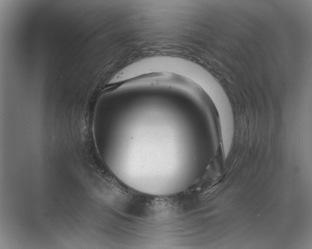 X0000070190608200606091534