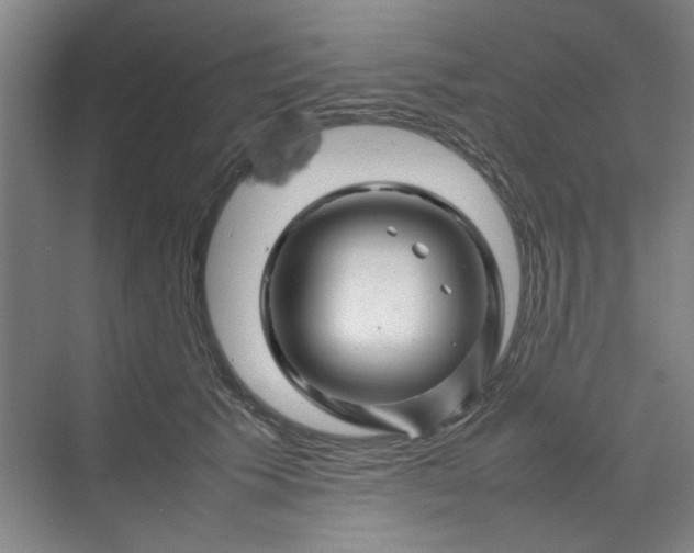 X0000070190609200606091534