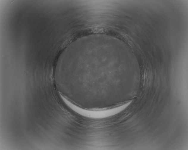 X0000070190610200606091534