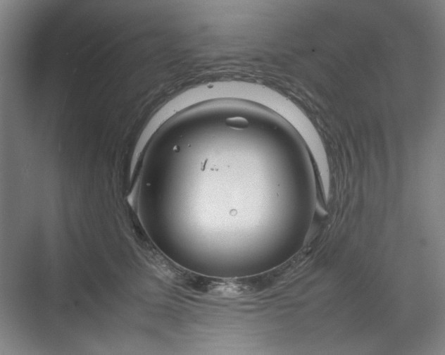 X0000070190611200606091534