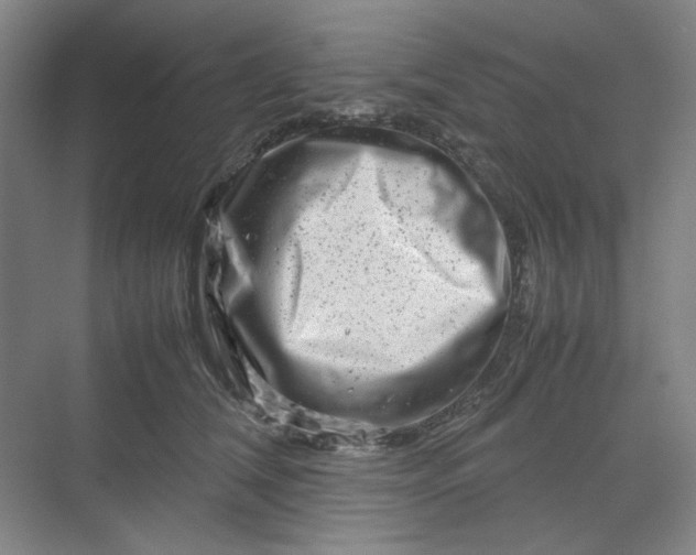 X0000070190612200606091534