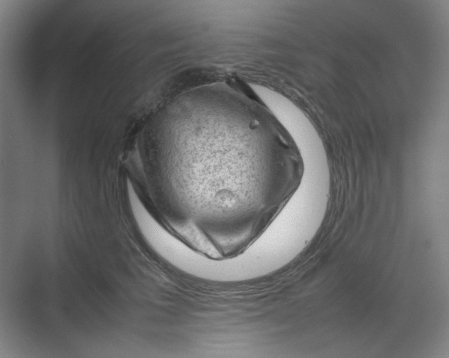 X0000070190613200606091534