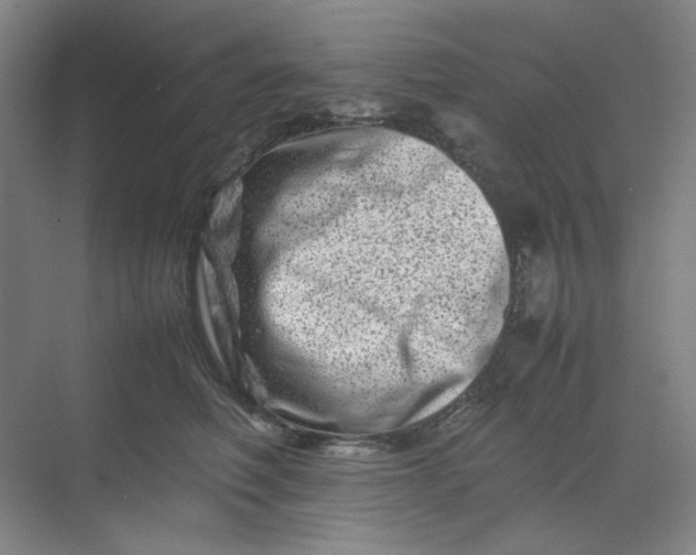 X0000070190614200606091534