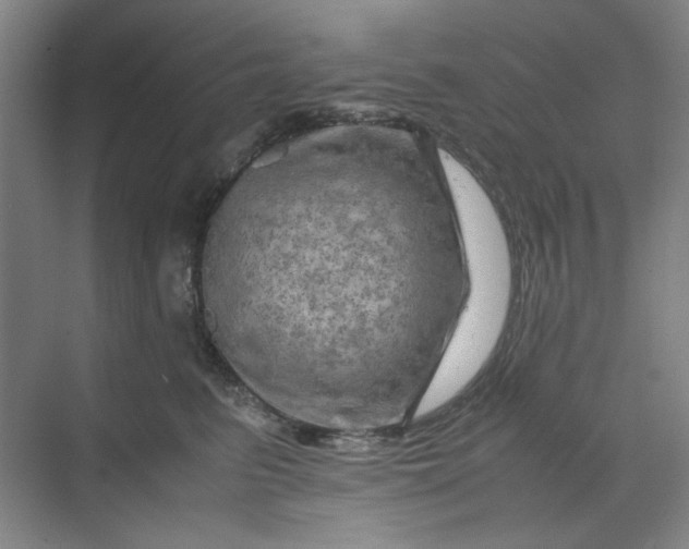 X0000070190615200606091534