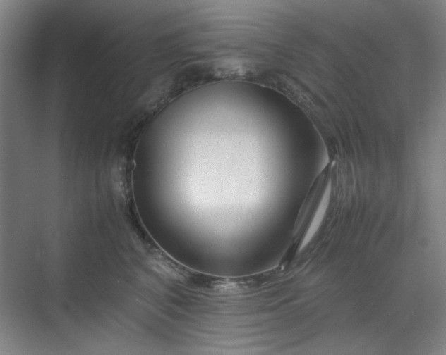 X0000070190616200606091534