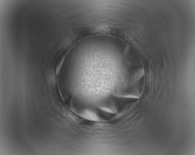 X0000070190617200606091534