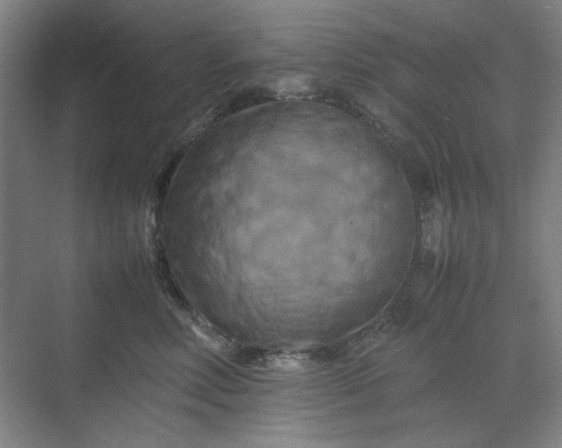 X0000070190618200606091534