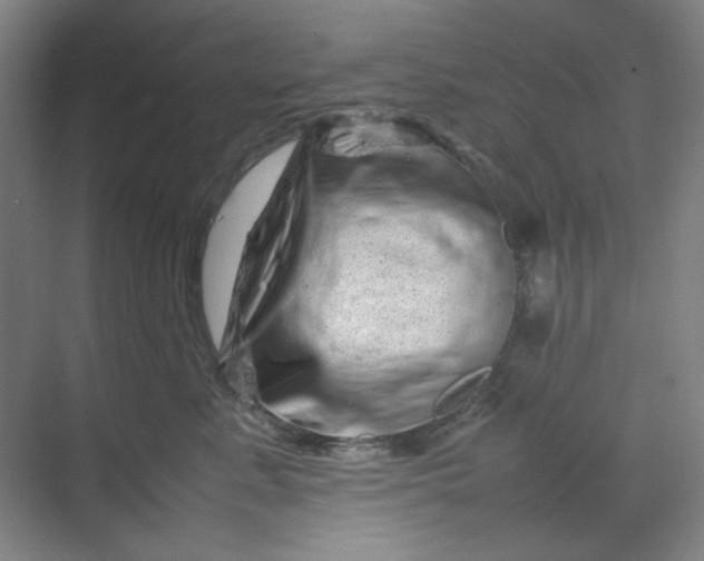 X0000070190619200606091534