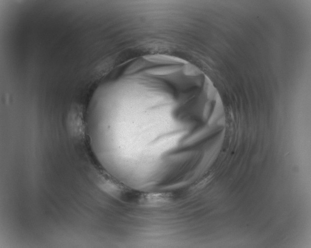 X0000070190622200606091534