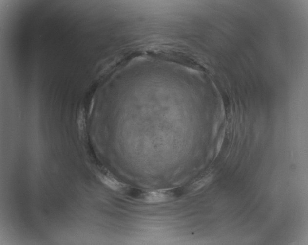 X0000070190623200606091534