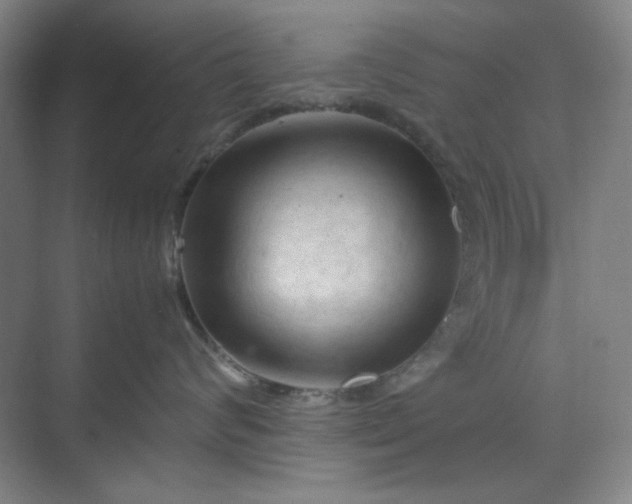 X0000070190624200606091534