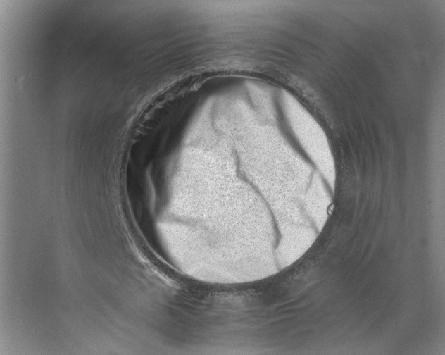 X0000070190625200606091533