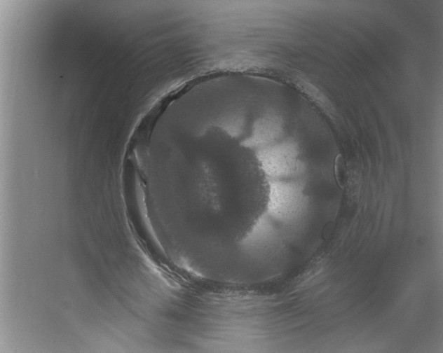 X0000070190626200606091533