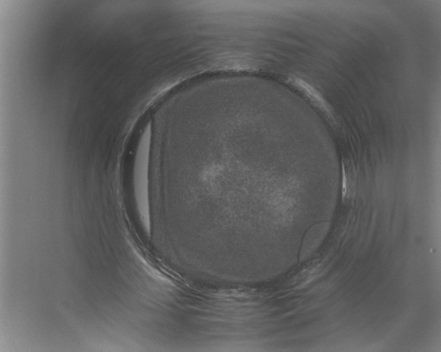 X0000070190627200606091533