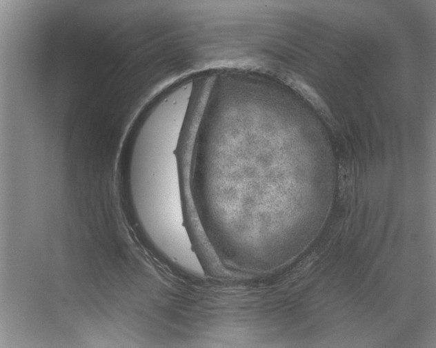 X0000070190628200606091533