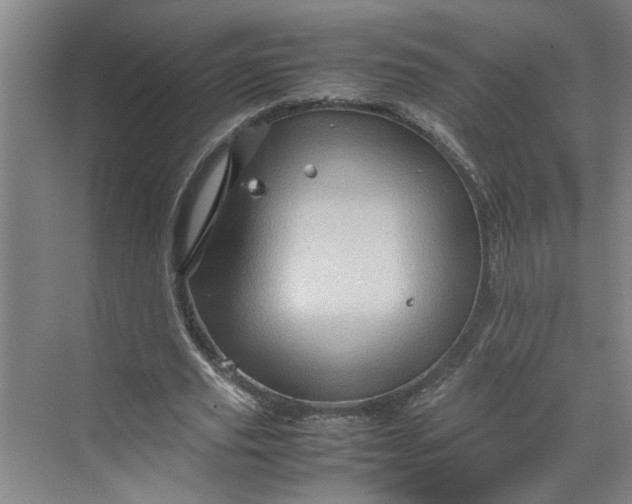 X0000070190629200606091533