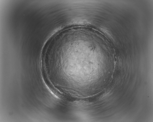 X0000070190630200606091533