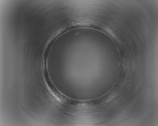 X0000070190634200606091533