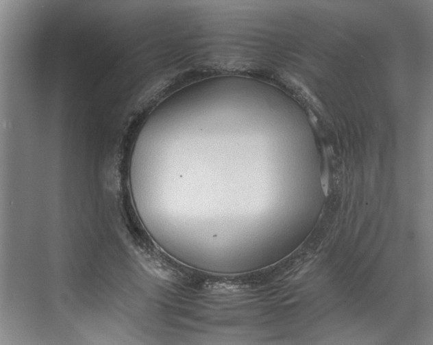 X0000070190635200606091533