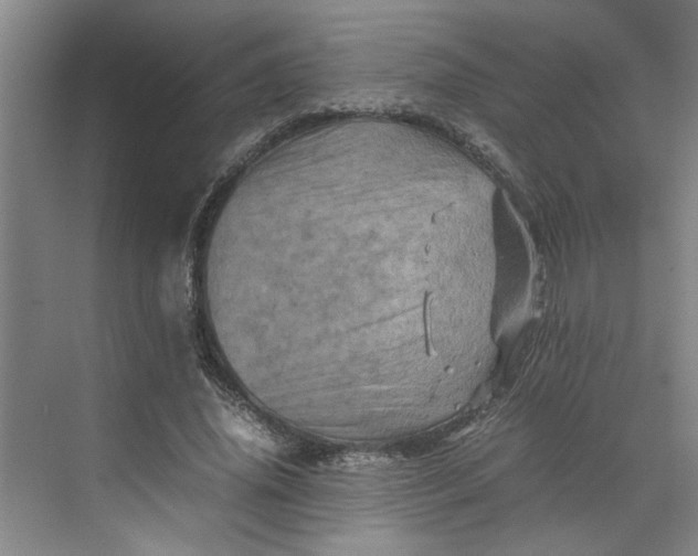 X0000070190636200606091533