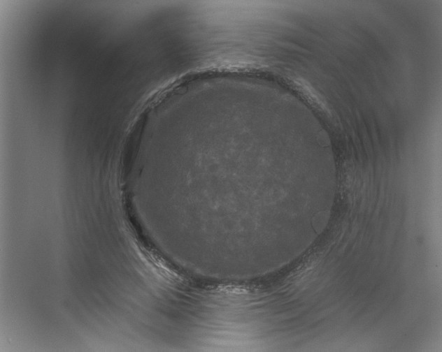 X0000070190640200606091533