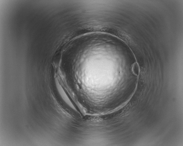 X0000070190642200606091533